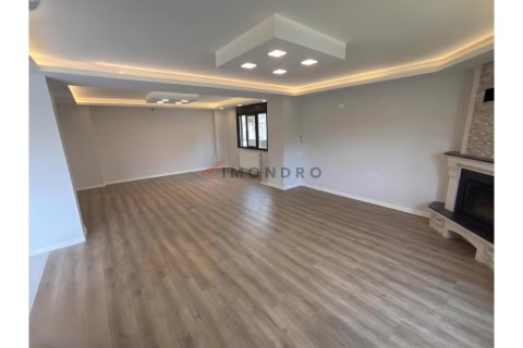 8+1 Villa i Silivri, istanbul, Turkiet Nr. 225234 - 7