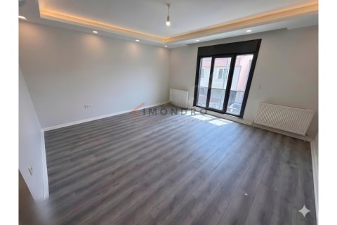 8+1 Villa i Silivri, istanbul, Turkiet Nr. 225234 - 16