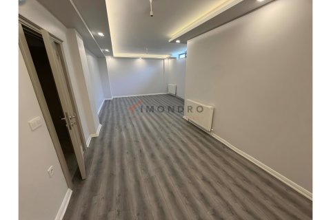 8+1 Villa i Silivri, istanbul, Turkiet Nr. 225234 - 12
