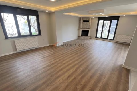 8+1 Villa i Silivri, istanbul, Turkiet Nr. 225234 - 6