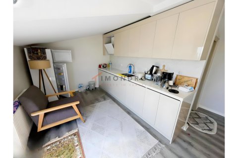 8+1 Villa i Silivri, istanbul, Turkiet Nr. 225234 - 26