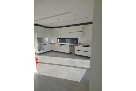 4+1 Villa i Silivri, istanbul, Turkiet Nr. 225231 - 12