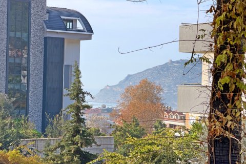 1+1 Wohnung  in Alanya, Antalya, Türkei Nr. 216921 - 19