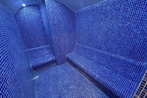 1+1 Wohnung  in Alanya, Antalya, Türkei Nr. 216920 - 30