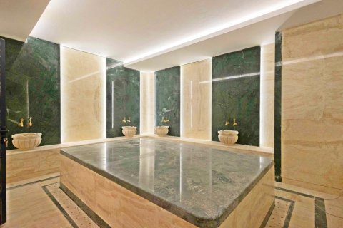 1+1 Wohnung  in Alanya, Antalya, Türkei Nr. 216920 - 7