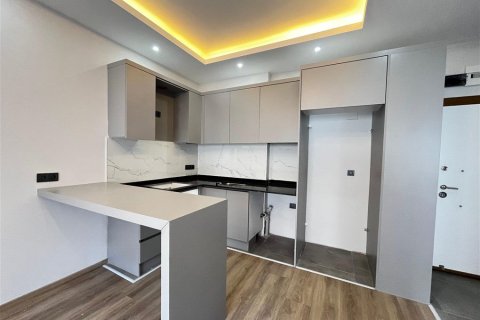 Daire  1+1  Alanya, Antalya, Türkiye №216924 - 3