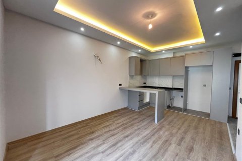 Daire  1+1  Alanya, Antalya, Türkiye №216924 - 13