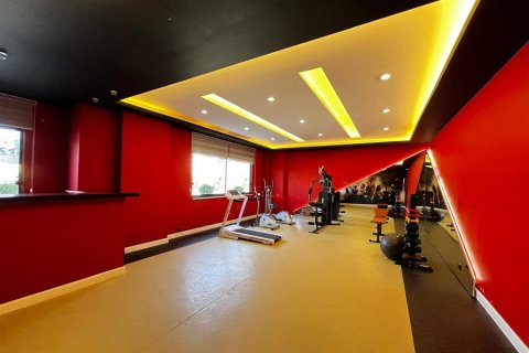 Daire  1+1  Alanya, Antalya, Türkiye №216924 - 20