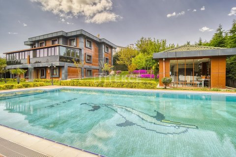 Villa 10+3 Büyükçekmece, İstanbul, Türkiye №223166