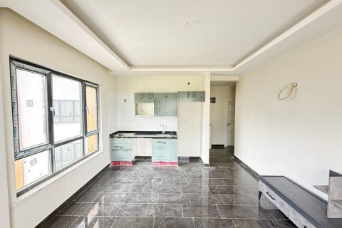 1+0 Wohnung  in Mahmutlar, Antalya, Türkei Nr. 224938 - 3
