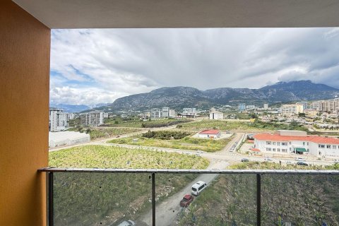 1+0 Wohnung  in Mahmutlar, Antalya, Türkei Nr. 224938 - 13