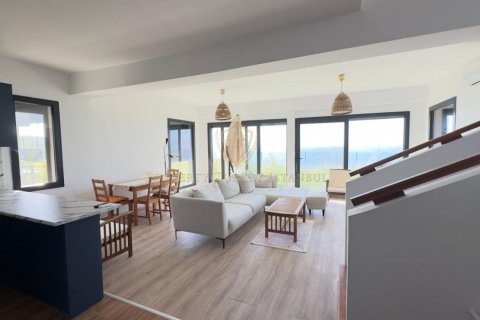 Villa for sale  in Izmir, Turkey, 3 bedrooms, 350m2, No. 224934 – photo 15