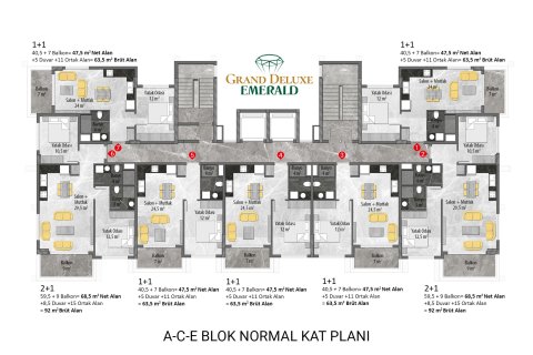1+1 Lägenhet i Avsallar, Antalya, Turkiet Nr. 226693 - 15