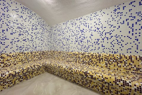 Daire  1+1  Alanya, Antalya, Türkiye №225687 - 23