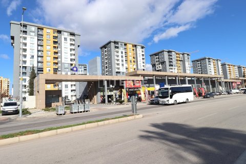 Продажа коммерческой недвижимости в Анталье, Турция, 194м2, №216365 – фото 9