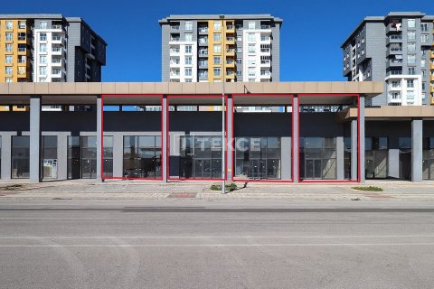 ملک تجاری در  Antalya ، ترکیه 194 متر مربع.  شماره 216365