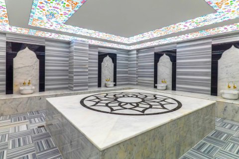 1+1 Wohnung in Mahmutlar, Antalya, Türkei Nr. 237660 - 21