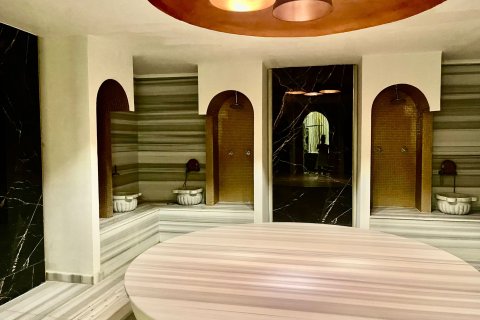 1+1 Lägenhet i Mahmutlar, Antalya, Turkiet Nr. 215244 - 28