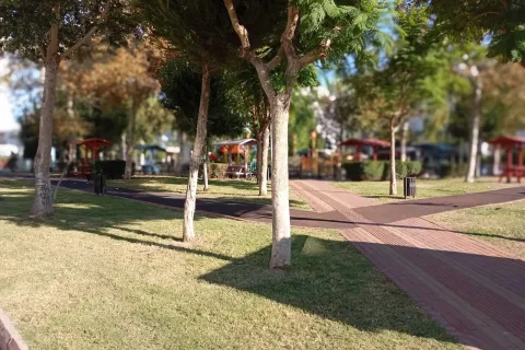 2+1 Wohnung  in Mugla, Türkei Nr. 224024 - 24