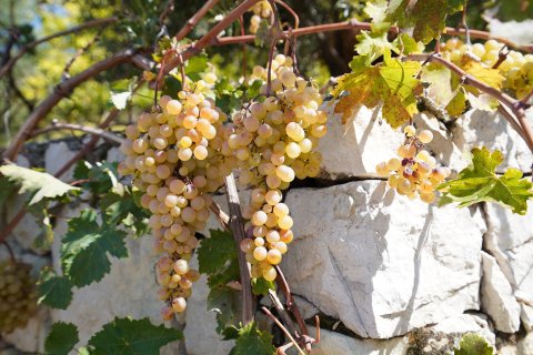 Продажа виллы  в Калкане, Анталье, Турция 4+1, 375м2, №211979 – фото 17