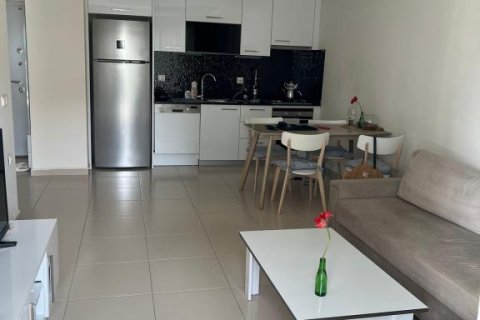 آپارتمان در  Kestel ، ترکیه 63 متر مربع.  شماره 212128 - 3