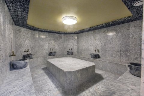 2+1 Wohnung  in Alanya, Antalya, Türkei Nr. 216661 - 5