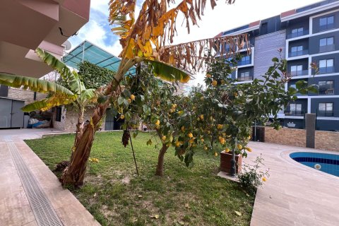 Аренда квартиры  в Аланье, Анталье, Турция 2+1, 90м2, №216662 – фото 6