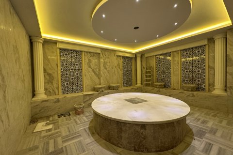 1+1 Lejlighed  i Alanya, Antalya, Tyrkiet Nr. 216657 - 13