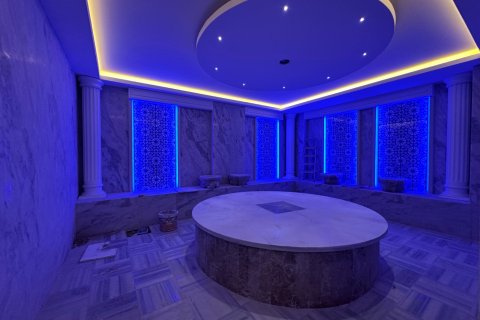 1+1 Lejlighed  i Alanya, Antalya, Tyrkiet Nr. 216657 - 9