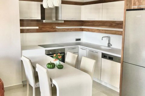 1+1 Wohnung  in Mahmutlar, Antalya, Türkei Nr. 222254 - 5