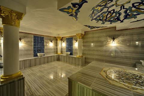 1+1 Wohnung  in Mahmutlar, Antalya, Türkei Nr. 222254 - 12