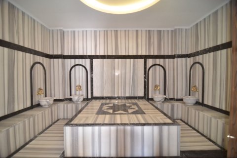 1+1 Wohnung  in Alanya, Antalya, Türkei Nr. 219430 - 11