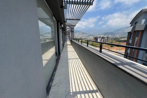 Ticari gayrimenkul Oba, Antalya, Türkiye №238100 - 10