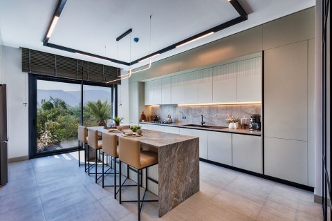 Villa in Dosemealti, Antalya, Türkei Nr. 238102 - 12