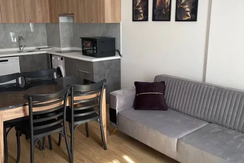 آپارتمان در  Mugla ، ترکیه 1 خوابه ، 42 متر مربع.  شماره 223484 - 8