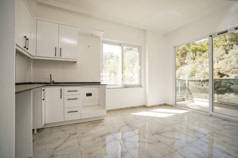 آپارتمان در  Alanya ، ترکیه 1 خوابه ، 42 متر مربع.  شماره 221625