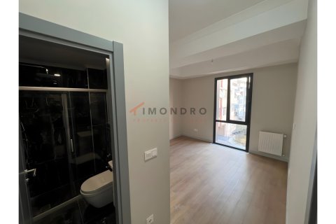 3+1 Lägenhet i Besiktas, Istanbul, istanbul, Turkiet Nr. 226676 - 13