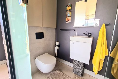 Villa for sale  in Kestel, Antalya, Turkey, 1 bedroom, 70m2, No. 218173 – photo 12