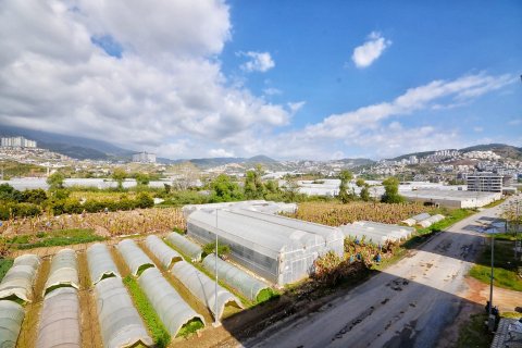 2+1 Leilighet  i Alanya, Antalya, Tyrkia Nr. 218172 - 7