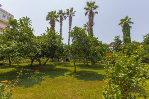 1+1 Leilighet  i Mahmutlar, Antalya, Tyrkia Nr. 211246 - 11