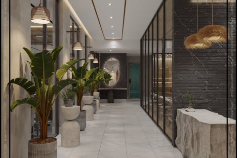 1+1 Wohnung in Kestel, Antalya, Türkei Nr. 225757 - 21