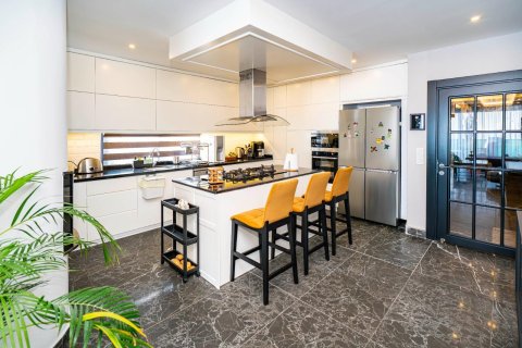 4+1 Wohnung in Kestel, Antalya, Türkei Nr. 225761 - 18
