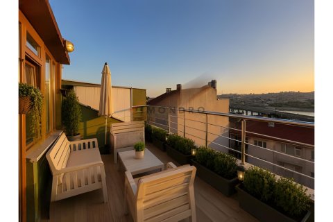 آپارتمان در Beyoglu، Istanbul ، ترکیه 3 خوابه ، 135 متر مربع. شماره 225228 - 16