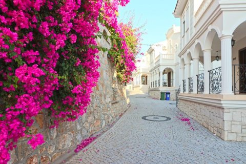 Villa in Alanya, Antalya, Türkei Nr. 225313 - 5