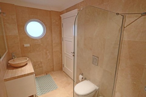 Villa in Alanya, Antalya, Türkei Nr. 225313 - 26