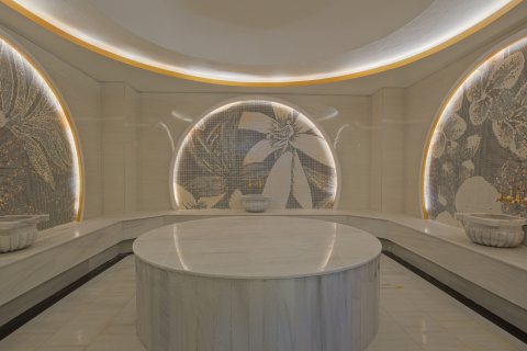 آپارتمان در  Alanya ، ترکیه 3 خوابه ، 142 متر مربع.  شماره 219134 - 24