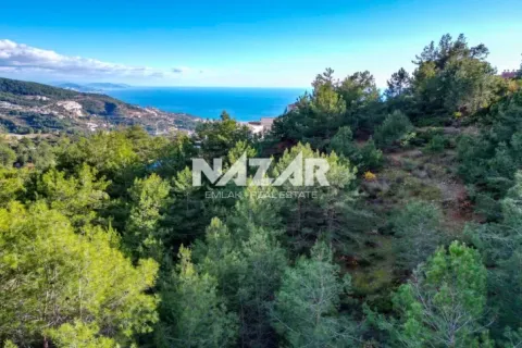 Lejlighed  i Alanya, Antalya, Tyrkiet Nr. 215807 - 15