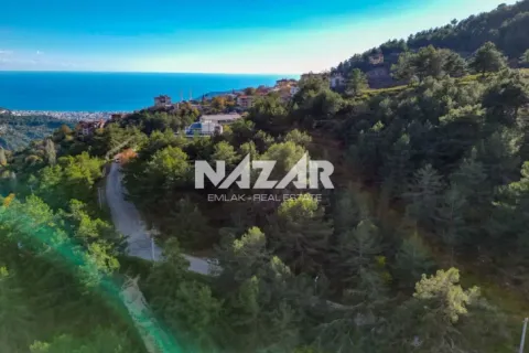 Lejlighed  i Alanya, Antalya, Tyrkiet Nr. 215807 - 11