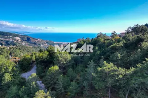 Lejlighed  i Alanya, Antalya, Tyrkiet Nr. 215807 - 10