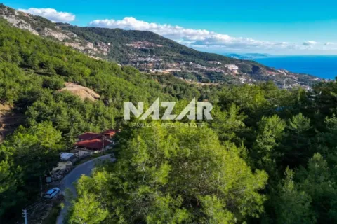 Lejlighed  i Alanya, Antalya, Tyrkiet Nr. 215807 - 16